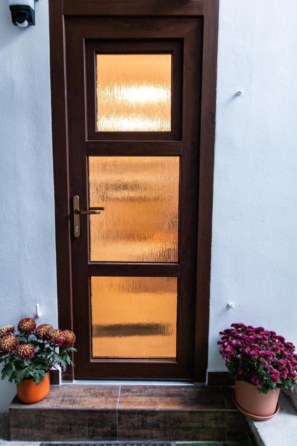 Aries Postavarului * Brasov